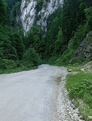 Cheile Dâmbovicioarei Cheile Dâmbovicioarei
